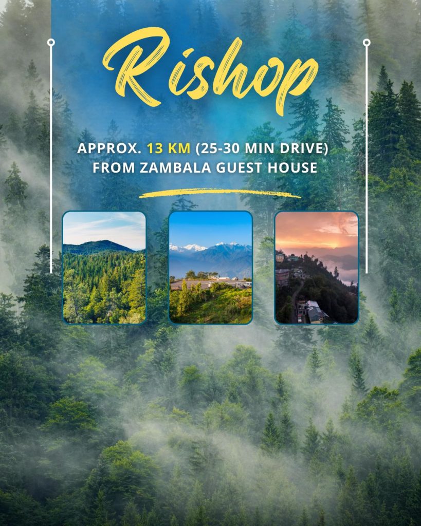 
<p>rishop images</p>
